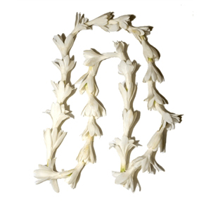 Tuberose Lei (Single)