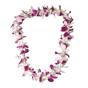Orchid Lei (Single, Purple &amp; White)