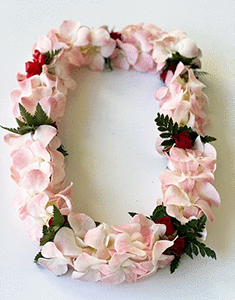 Double Blush Orchid with Rose Lei