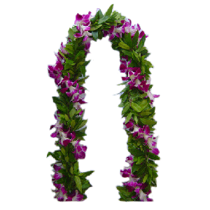 Maile Lei with a Twist of Purple Orchid