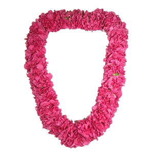 Carnation Lei (Double)