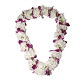 Carnation with Orchid Lei (Double)