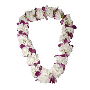 Orchid Lei (Double) - The Hawaiian Lei Company