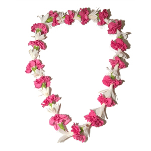 Carnation with Tuberose Lei (Single)