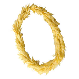 Flat Ginger Lei (Yellow)