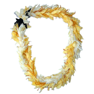 Ginger Lei (Two Strand Twist, Yellow and White)