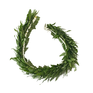 Fern Haku Lei