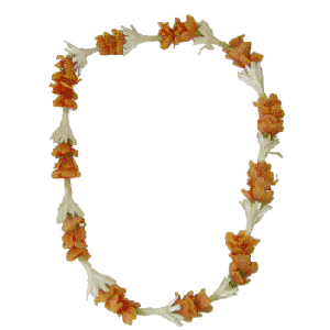 Lantern Ilima with Tuberose Lei (Single)