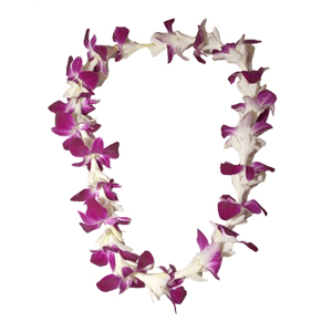 Orchid with Tuberose Lei (Single)
