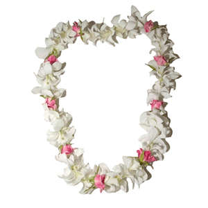 Orchid with Rose Lei (Single)