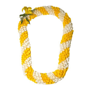 Fancy Spiral Orchid Lei Yellow and White