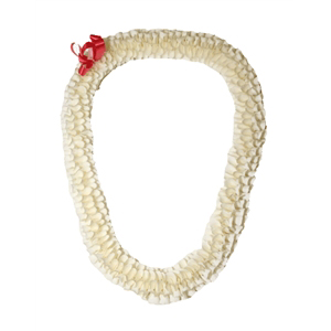 Fancy Spiral Orchid Lei (White)