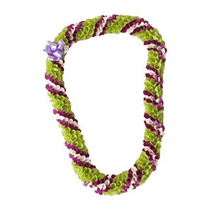 Fancy Orchid Lei (Tri-Color)