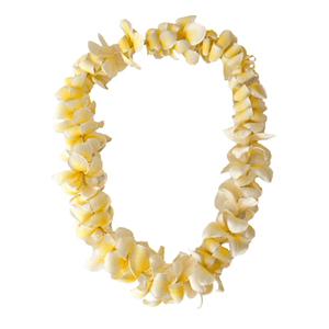 Plumeria Lei (Yellow)