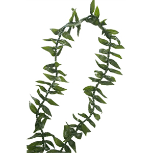 Ti Leaf Lei (Maile Style)