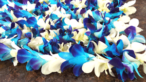 Orchid Lei Single- Blue and White (Bulk Price)