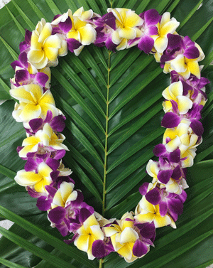 May Day is Lei Day In Hawai'i  Hawaiian Lei — My Hawaii Hostel