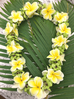 Plumeria Lei (Double) with Green Orchid