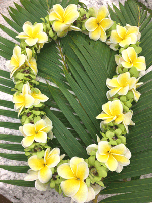 Image result for hawaiian leis fragrant