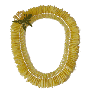 Micronesian Ginger Lei (Yellow)