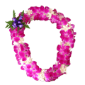 Double Orchid with Tuberose Lei
