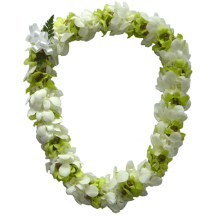 Orchid Lei (Double, Green &amp; White)