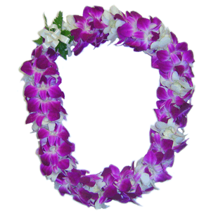 Orchid Lei (Double, Purple &amp; White)
