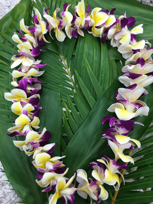  Fresh Hawaiian Orchid Flower Lei, Single Strand From Hawaii :  Fresh Cut Format Orchid Flowers : Grocery & Gourmet Food