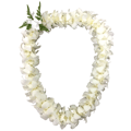 Orchid Lei (Double) White