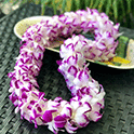 Orchid Lei (Double, Splash Orchid)