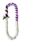 Cosmopolitan Lei