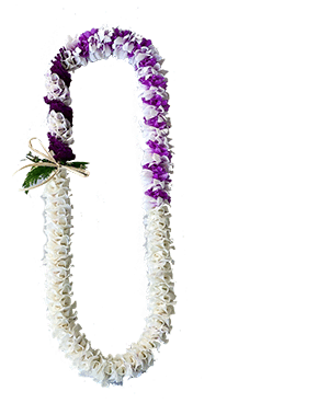 Orchid Angel Lei (All White or Mixed)
