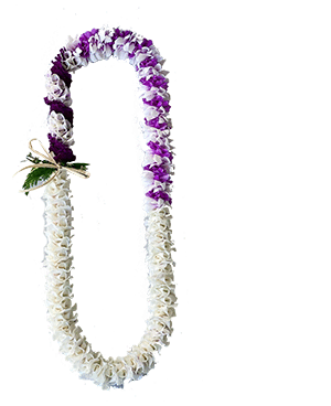 Cosmopolitan Lei