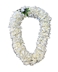 Carnation Lei (Double) White