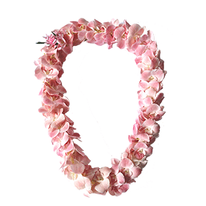 Orchid Lei (Double, Blush Orchid)