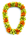 Epi Orchid with Green Orchid Lei (Double)