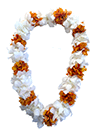 Epi Orchid with White Orchid Lei (Double)