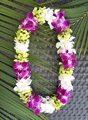 Orchid Lei (Double, Various Colors)