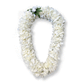 Carnation Lei (Double) White