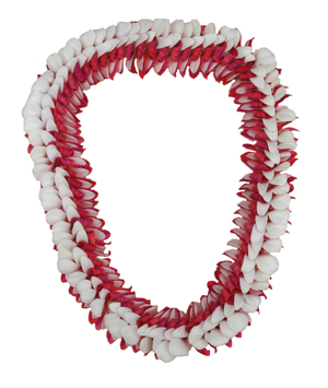 Lava Flow Orchid Lei