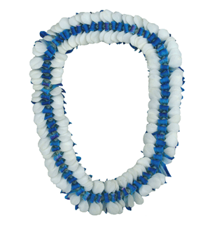 Ocean Breeze Orchid Lei