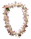 Orchid Lei (Single, White with Lavender)