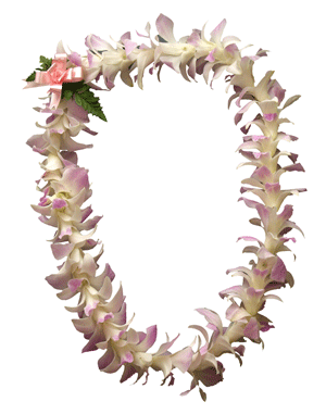 Orchid Lei (Single, White with Lavender)