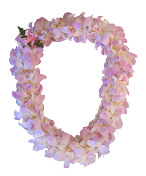 Orchid Lei Double White With Lavender The Hawaiian Lei Company