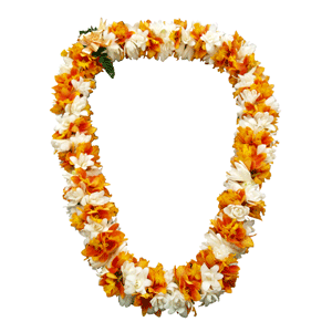 Epi Orchid with Tuberose Lei (Double)