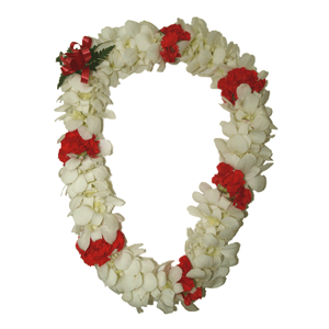 White Orchid Lei with Carnation  (Double)