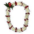 Fancy Orchid Lei (White with Rose Petals)
