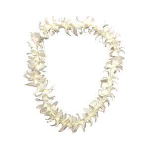 Single White Orchid Lei Bulk - Pacific Leis