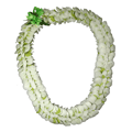 Sweetheart Lei – White & Green