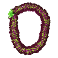 Sweetheart Lei – Purple & Green